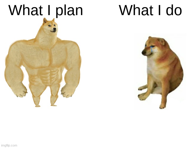 DOGGY | What I plan; What I do | image tagged in memes,buff doge vs cheems | made w/ Imgflip meme maker