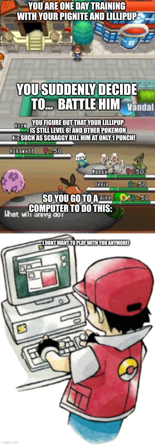 weakling pokemon be like |  YOU ARE ONE DAY TRAINING WITH YOUR PIGNITE AND LILLIPUP; YOU SUDDENLY DECIDE TO...  BATTLE HIM; YOU FIGURE OUT THAT YOUR LILLIPUP IS STILL LEVEL 8! AND OTHER POKEMON SUCH AS SCRAGGY KILL HIM AT ONLY 1 PUNCH! SO YOU GO TO A COMPUTER TO DO THIS:; I DONT WANT TO PLAY WITH YOU ANYMORE! | image tagged in funny,pokemon,memes,story | made w/ Imgflip meme maker