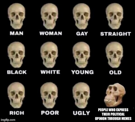 idiot skull | PEOPLE WHO EXPRESS THEIR POLITICAL OPINION THROUGH MEMES | image tagged in idiot skull,memes,funny | made w/ Imgflip meme maker