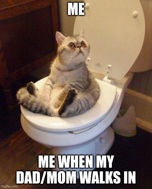 cat sitting on toilet | ME; ME WHEN MY DAD/MOM WALKS IN | image tagged in cat sitting on toilet | made w/ Imgflip meme maker