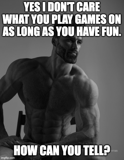 Giga Chad | YES I DON'T CARE WHAT YOU PLAY GAMES ON AS LONG AS YOU HAVE FUN. HOW CAN YOU TELL? | image tagged in giga chad | made w/ Imgflip meme maker