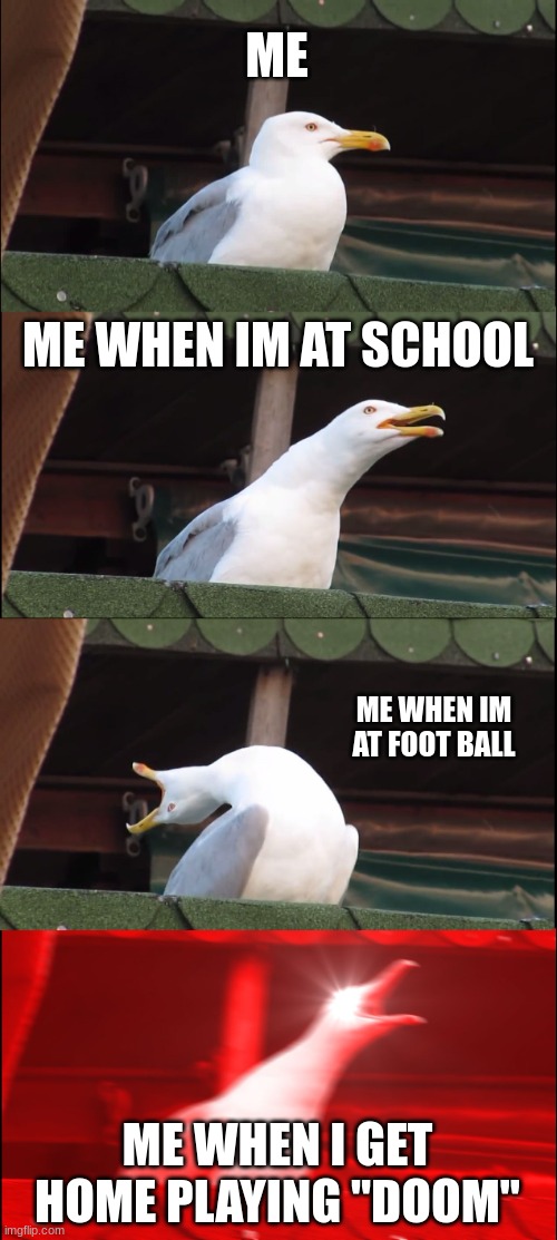 Inhaling Seagull Meme | ME; ME WHEN IM AT SCHOOL; ME WHEN IM AT FOOT BALL; ME WHEN I GET HOME PLAYING "DOOM" | image tagged in memes,inhaling seagull | made w/ Imgflip meme maker