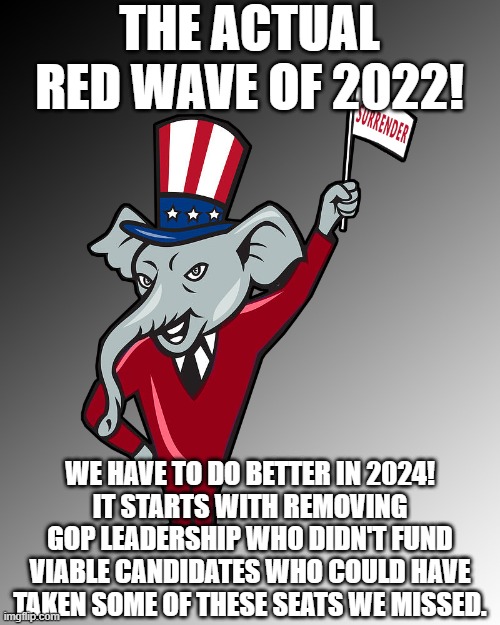 Sorry folks, as a conservative (check my history) I'm just keeping it real here.  GOP Leadership failed us and we have to learn! | THE ACTUAL RED WAVE OF 2022! WE HAVE TO DO BETTER IN 2024!
IT STARTS WITH REMOVING GOP LEADERSHIP WHO DIDN'T FUND VIABLE CANDIDATES WHO COULD HAVE TAKEN SOME OF THESE SEATS WE MISSED. | image tagged in election 2022,gop,red wave | made w/ Imgflip meme maker