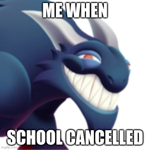 Dragon City Meme | ME WHEN; SCHOOL CANCELLED | image tagged in dragon city,school | made w/ Imgflip meme maker