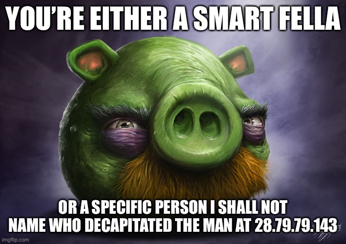 Realistic angry birds | YOU’RE EITHER A SMART FELLA; OR A SPECIFIC PERSON I SHALL NOT NAME WHO DECAPITATED THE MAN AT 28.79.79.143 | image tagged in realistic angry birds | made w/ Imgflip meme maker
