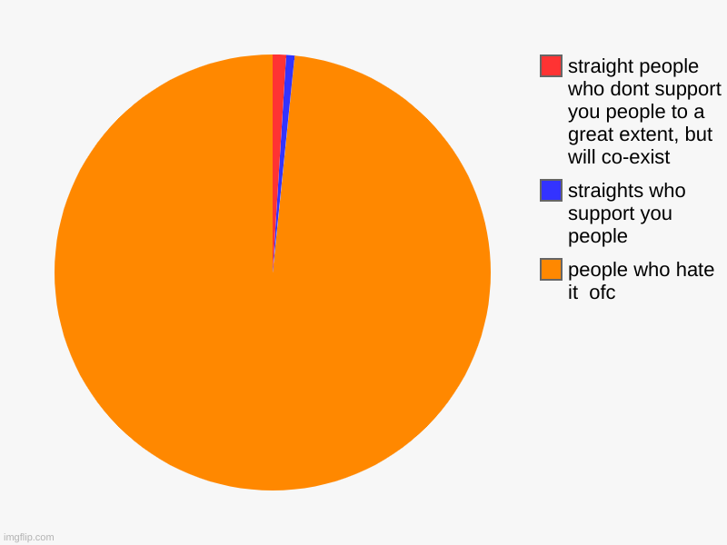 i had to, i really did | people who hate it  ofc, straights who support you people, straight people who dont support you people to a great extent, but will co-exist | image tagged in charts,pie charts,sorry | made w/ Imgflip chart maker