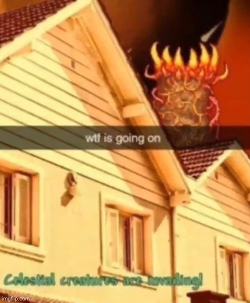 Bro be living in Ohio | image tagged in terraria,lol | made w/ Imgflip meme maker