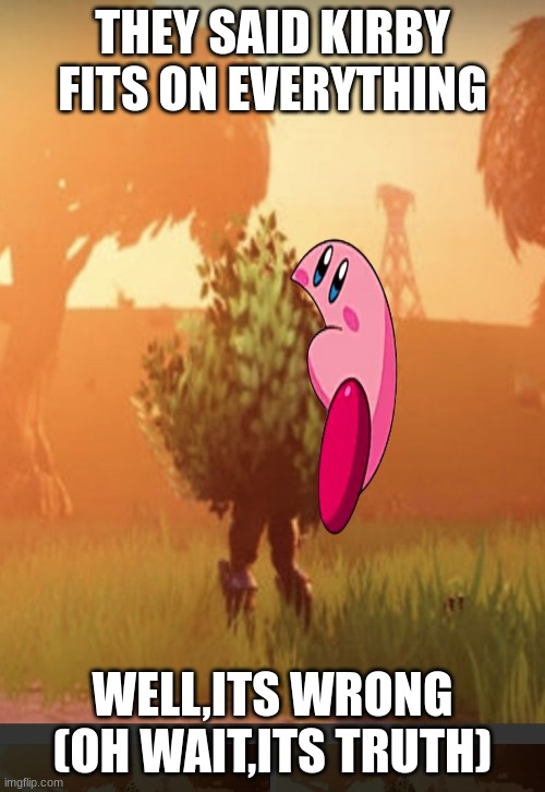 Fortnite bush | THEY SAID KIRBY FITS ON EVERYTHING; WELL,ITS WRONG
(OH WAIT,ITS TRUTH) | image tagged in fortnite bush | made w/ Imgflip meme maker