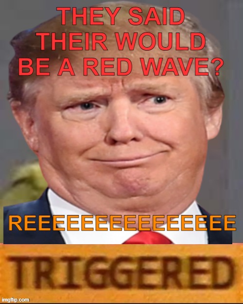 THEY SAID THEIR WOULD BE A RED WAVE? REEEEEEEEEEEEEEE | made w/ Imgflip meme maker