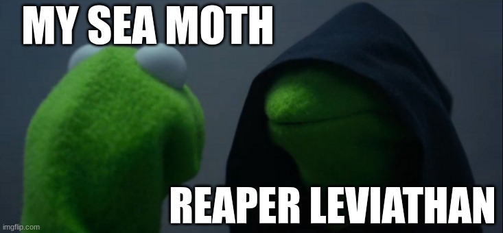 hehe | MY SEA MOTH; REAPER LEVIATHAN | image tagged in memes,evil kermit,subnautica,shit | made w/ Imgflip meme maker