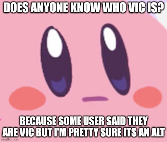 Blank Kirby Face | DOES ANYONE KNOW WHO VIC IS? BECAUSE SOME USER SAID THEY ARE VIC BUT I'M PRETTY SURE ITS AN ALT | image tagged in blank kirby face | made w/ Imgflip meme maker