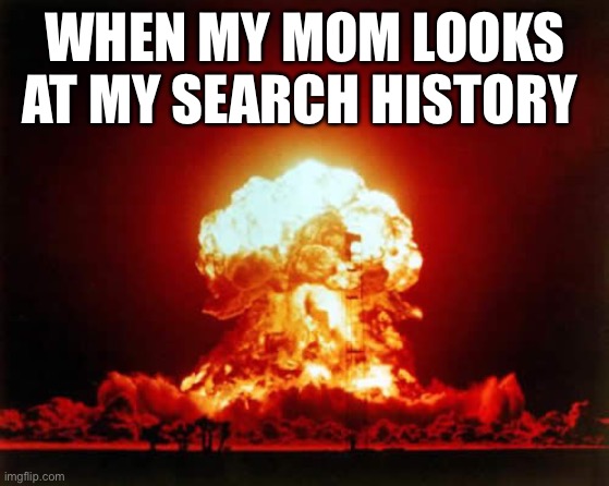 Yeet | WHEN MY MOM LOOKS AT MY SEARCH HISTORY | image tagged in memes,nuclear explosion | made w/ Imgflip meme maker