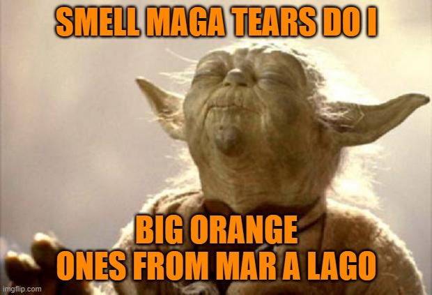 yoda smell | SMELL MAGA TEARS DO I BIG ORANGE ONES FROM MAR A LAGO | image tagged in yoda smell | made w/ Imgflip meme maker