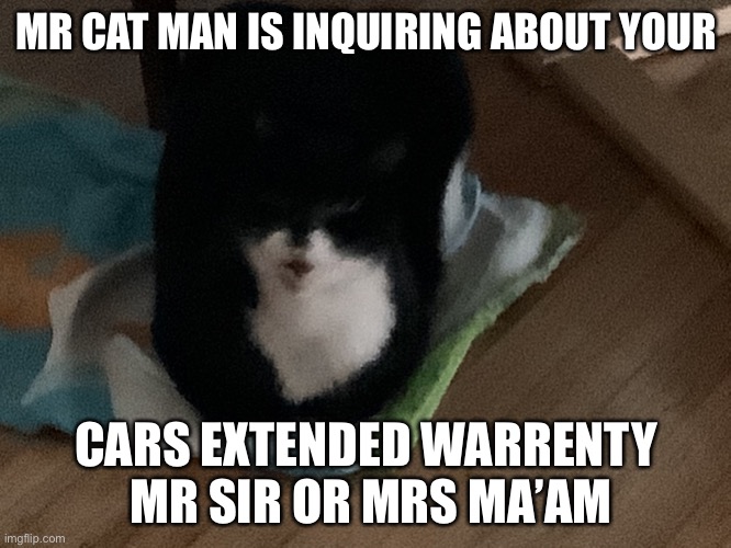 Cat | MR CAT MAN IS INQUIRING ABOUT YOUR; CARS EXTENDED WARRENTY  MR SIR OR MRS MA’AM | image tagged in cat | made w/ Imgflip meme maker