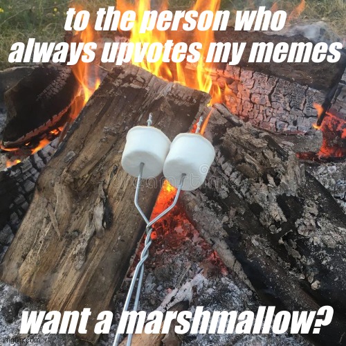 thanks | to the person who always upvotes my memes; want a marshmallow? | image tagged in wholesome | made w/ Imgflip meme maker