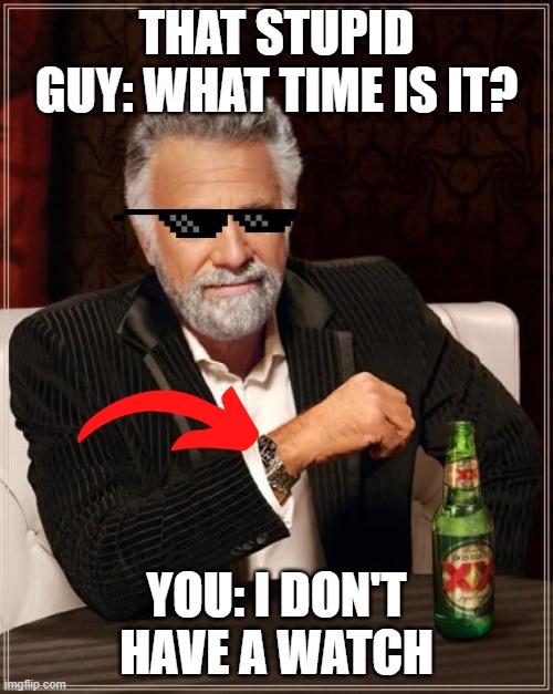 The Most Interesting Man In The World Meme | THAT STUPID GUY: WHAT TIME IS IT? YOU: I DON'T HAVE A WATCH | image tagged in memes,the most interesting man in the world | made w/ Imgflip meme maker