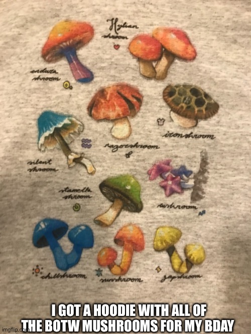 botw mushrooms hoodie |  I GOT A HOODIE WITH ALL OF THE BOTW MUSHROOMS FOR MY BDAY | image tagged in botw,mushroom | made w/ Imgflip meme maker