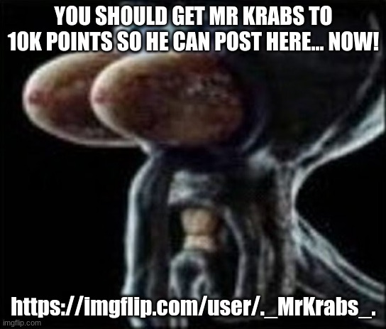Squidward staring | YOU SHOULD GET MR KRABS TO 10K POINTS SO HE CAN POST HERE... NOW! https://imgflip.com/user/._MrKrabs_. | image tagged in squidward staring | made w/ Imgflip meme maker