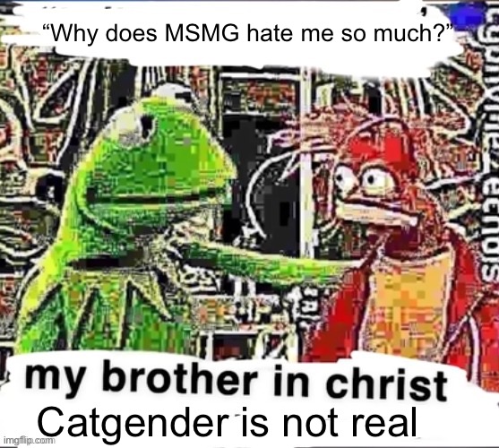 My brother in Christ | “Why does MSMG hate me so much?”; Catgender is not real | image tagged in my brother in christ | made w/ Imgflip meme maker