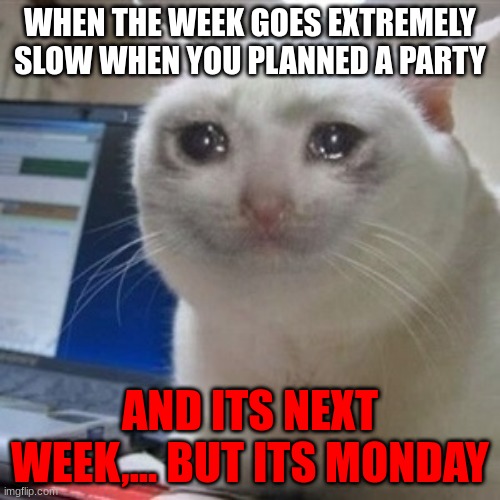 Monday | WHEN THE WEEK GOES EXTREMELY SLOW WHEN YOU PLANNED A PARTY; AND ITS NEXT WEEK,... BUT ITS MONDAY | image tagged in crying cat,cats,cat | made w/ Imgflip meme maker