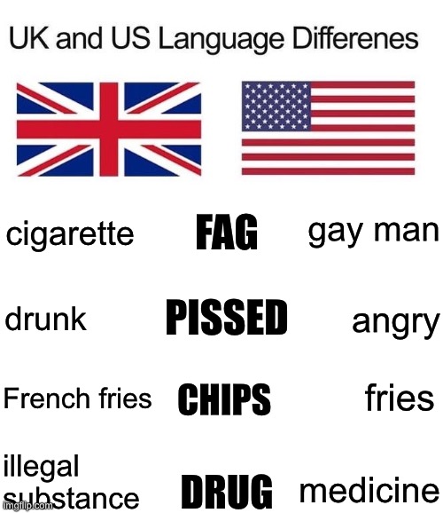 American and British English differences | gay man; cigarette; FAG; drunk; angry; PISSED; CHIPS; French fries; fries; illegal substance; medicine; DRUG | image tagged in uk and us english differences,american,british,language,funny memes | made w/ Imgflip meme maker