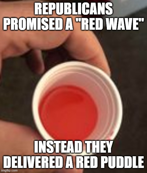 Red paint | REPUBLICANS PROMISED A "RED WAVE"; INSTEAD THEY DELIVERED A RED PUDDLE | image tagged in red paint | made w/ Imgflip meme maker