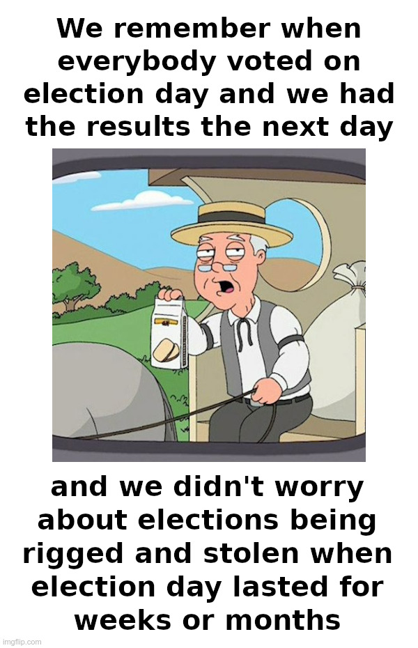 Pepperidge Farm Remembers One Day Elections | image tagged in pepperidge farm remembers,election day,mail,ballots,weeks,months | made w/ Imgflip meme maker