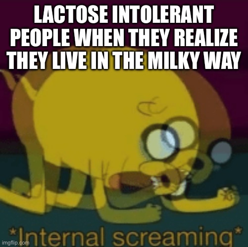*internal screaming* | LACTOSE INTOLERANT PEOPLE WHEN THEY REALIZE THEY LIVE IN THE MILKY WAY | image tagged in jake the dog internal screaming,internal screaming,funny meme,funny memes,so true memes | made w/ Imgflip meme maker