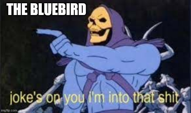 Jokes on you im into that shit | THE BLUEBIRD | image tagged in jokes on you im into that shit | made w/ Imgflip meme maker