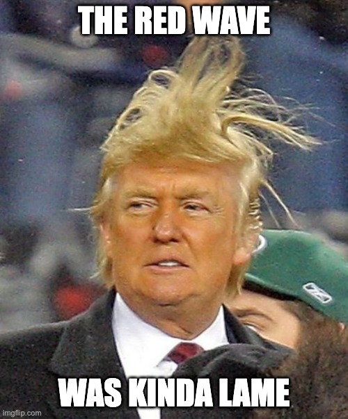 The Red Wave that wasn't | THE RED WAVE; WAS KINDA LAME | image tagged in donald trumph hair | made w/ Imgflip meme maker