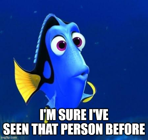 dory | I'M SURE I'VE SEEN THAT PERSON BEFORE | image tagged in dory | made w/ Imgflip meme maker