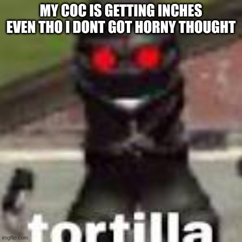 tortilla | MY COC IS GETTING INCHES EVEN THO I DONT GOT HORNY THOUGHT | image tagged in tortilla | made w/ Imgflip meme maker