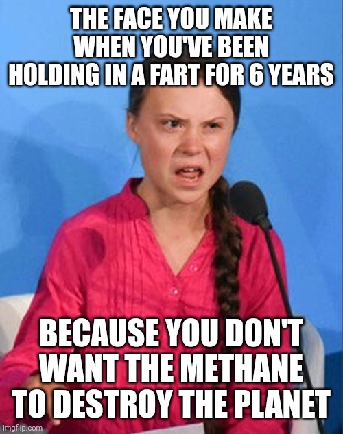 Climate Change is a Hoax BTW | THE FACE YOU MAKE WHEN YOU'VE BEEN HOLDING IN A FART FOR 6 YEARS; BECAUSE YOU DON'T WANT THE METHANE TO DESTROY THE PLANET | image tagged in greta thunberg how dare you | made w/ Imgflip meme maker