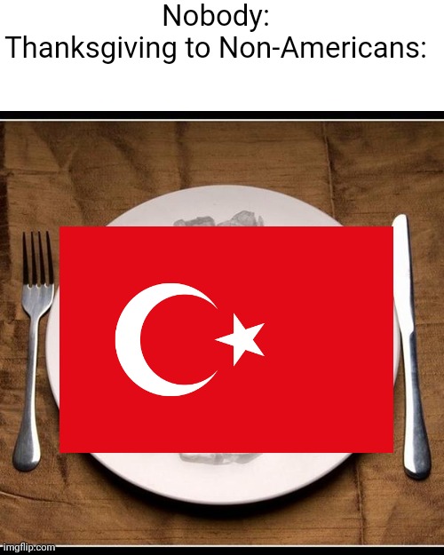 Get it. Cuz like, Turkey? | Nobody:
Thanksgiving to Non-Americans: | image tagged in plate of ice cubes | made w/ Imgflip meme maker