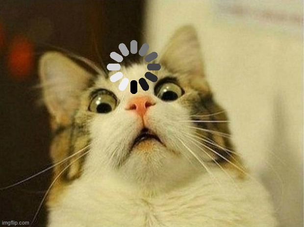 Scared Cat Meme | image tagged in memes,scared cat | made w/ Imgflip meme maker