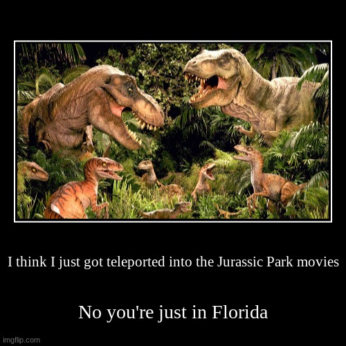 Florida | image tagged in funny,demotivationals | made w/ Imgflip demotivational maker