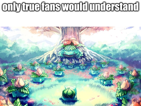 only true fans would understand | only true fans would understand | image tagged in pokemon | made w/ Imgflip meme maker