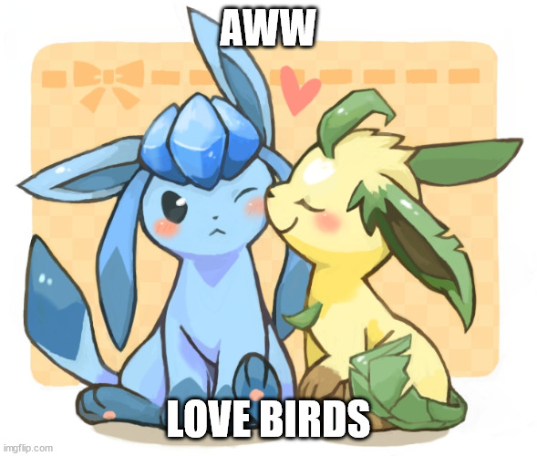 Glaceon x leafeon 3 | AWW; LOVE BIRDS | image tagged in glaceon x leafeon 3 | made w/ Imgflip meme maker