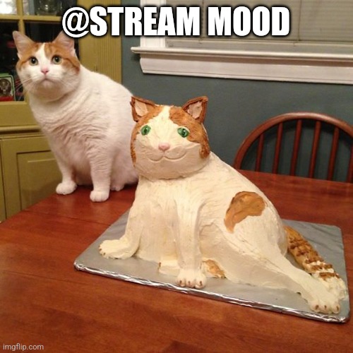 cat cake | @STREAM MOOD | image tagged in cat cake | made w/ Imgflip meme maker