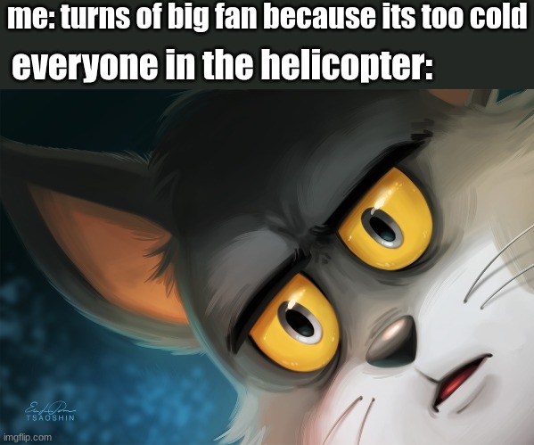 cursed tom |  me: turns of big fan because its too cold; everyone in the helicopter: | image tagged in unsettled tom stylized,memes,funny,curced images | made w/ Imgflip meme maker