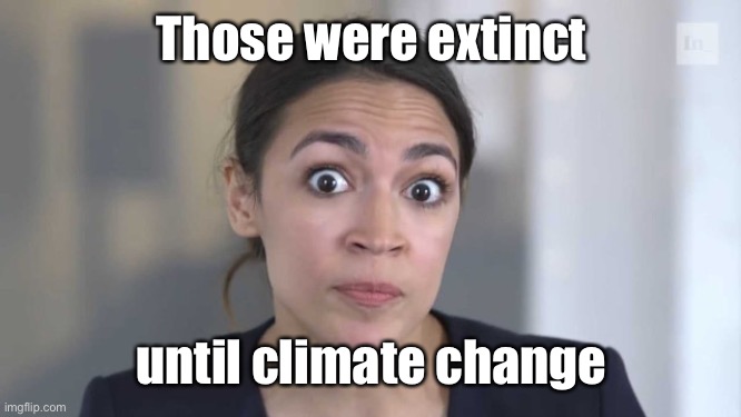 Crazy Alexandria Ocasio-Cortez | Those were extinct until climate change | image tagged in crazy alexandria ocasio-cortez | made w/ Imgflip meme maker