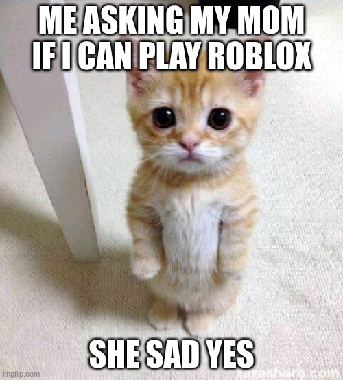 ROBLOX | ME ASKING MY MOM IF I CAN PLAY ROBLOX; SHE SAD YES | image tagged in memes,cute cat | made w/ Imgflip meme maker