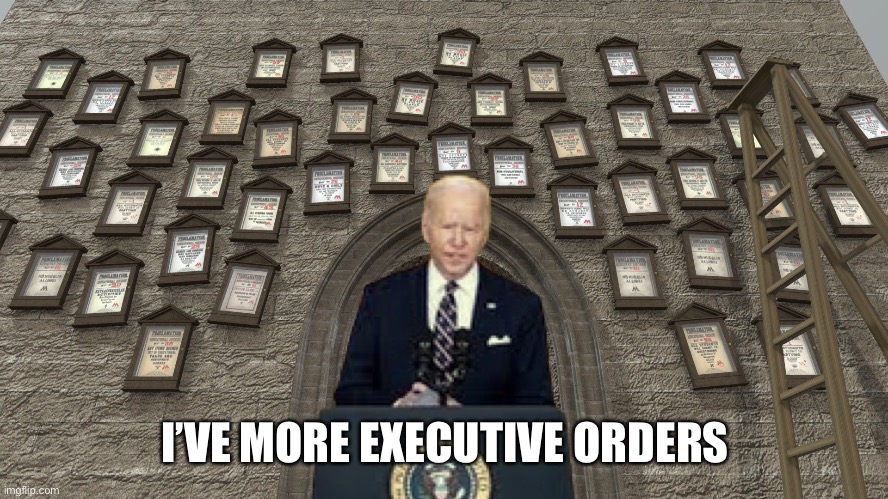 Turd boy | I’VE MORE EXECUTIVE ORDERS | image tagged in more joe | made w/ Imgflip meme maker
