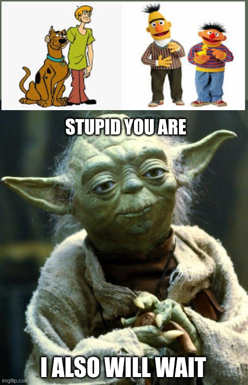 Star Wars Yoda Meme | STUPID YOU ARE I ALSO WILL WAIT | image tagged in memes,star wars yoda | made w/ Imgflip meme maker