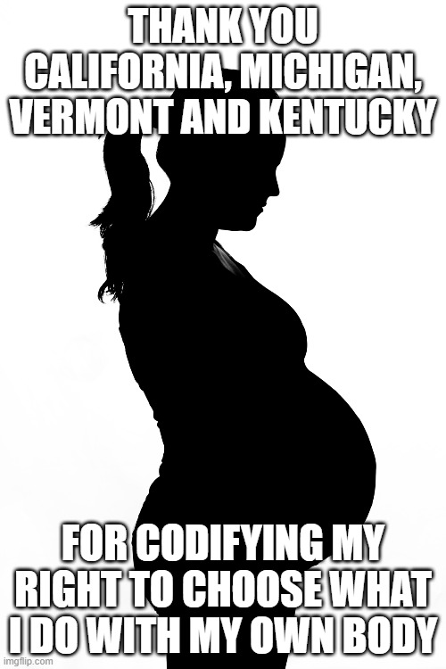 THANK YOU CALIFORNIA, MICHIGAN, VERMONT AND KENTUCKY; FOR CODIFYING MY RIGHT TO CHOOSE WHAT I DO WITH MY OWN BODY | image tagged in autonomy,elections | made w/ Imgflip meme maker