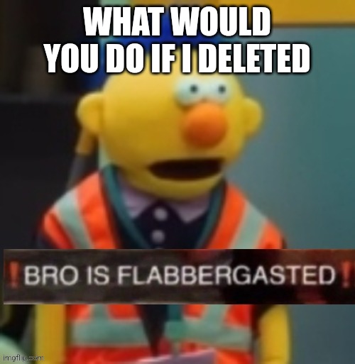Flabbergasted Yellow Guy | WHAT WOULD YOU DO IF I DELETED | image tagged in flabbergasted yellow guy | made w/ Imgflip meme maker