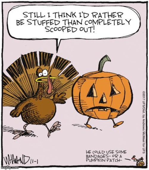 HOW ABOUT STUFFED WITH PUMPKIN? | image tagged in turkey,pumpkin,comics/cartoons,thanksgiving,halloween | made w/ Imgflip meme maker