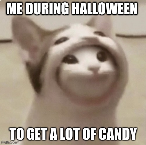 Popcat | ME DURING HALLOWEEN; TO GET A LOT OF CANDY | image tagged in popcat | made w/ Imgflip meme maker
