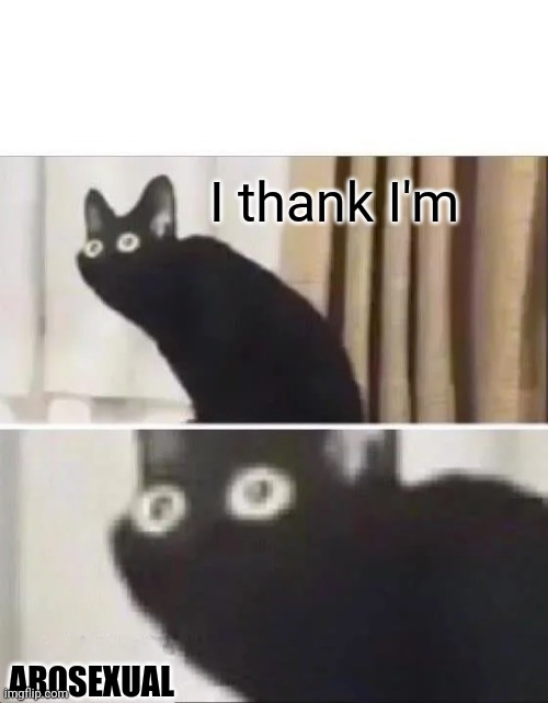 Oh No Black Cat | I thank I'm; AROSEXUAL | image tagged in oh no black cat | made w/ Imgflip meme maker