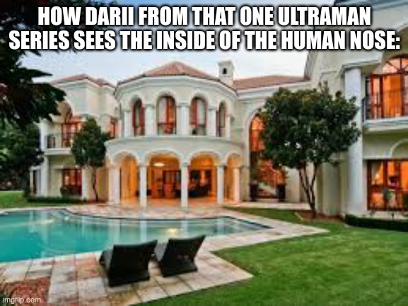 Mansion | HOW DARII FROM THAT ONE ULTRAMAN SERIES SEES THE INSIDE OF THE HUMAN NOSE: | image tagged in mansion | made w/ Imgflip meme maker